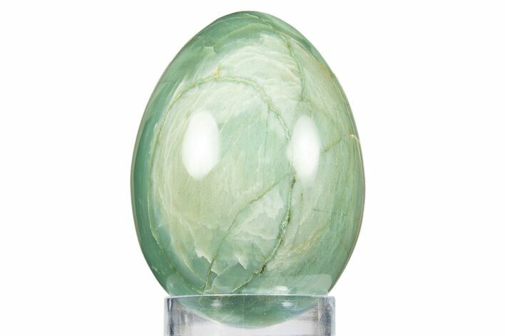 Polished Green Magneprase Egg - Western Australia #312671